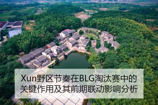 Xun野区节奏在BLG淘汰赛中的关键作用及其前期联动影响分析