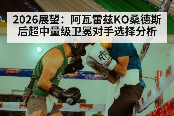2026展望：阿瓦雷兹KO桑德斯后超中量级卫冕对手选择分析